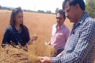 SAGAR VISIT ALTMAT COMPANY FOUNDER
