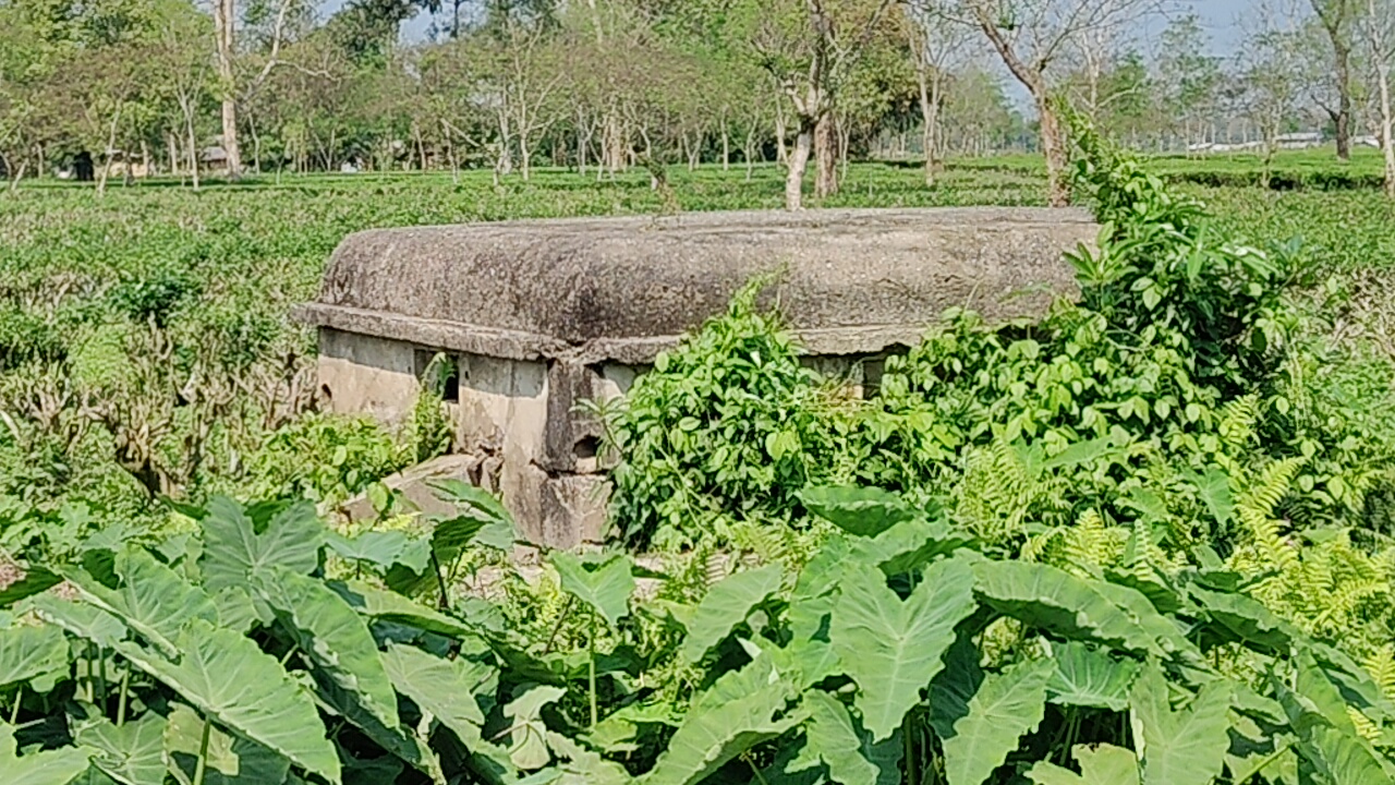 World War II pillboxes in Tinsukia