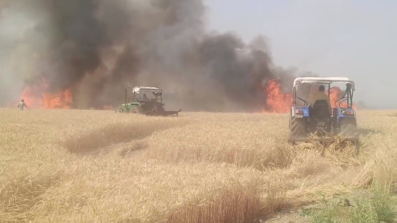 Vidisha Fire wheat crops