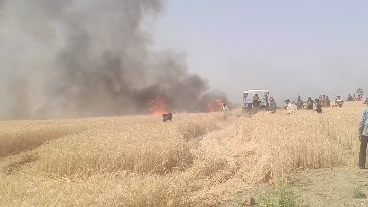 Vidisha Fire wheat crops