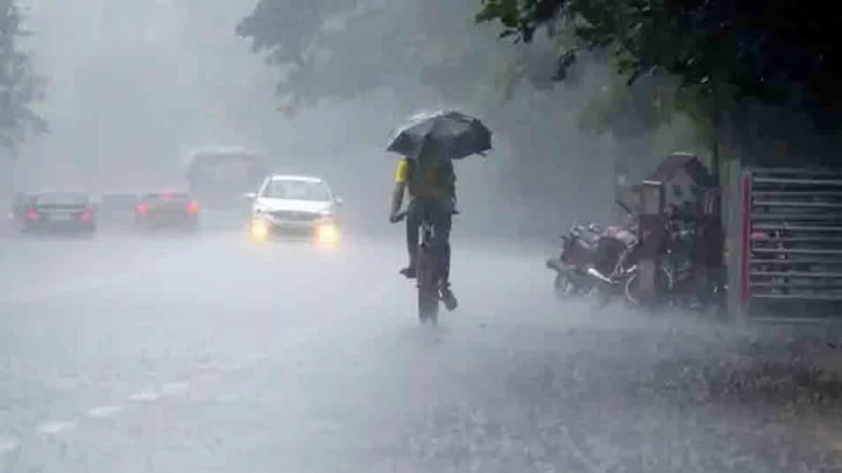 Rain In Haryana