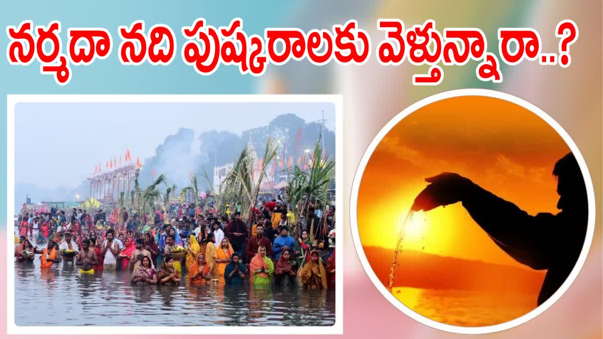 Narmada River Pushkaralu 2024