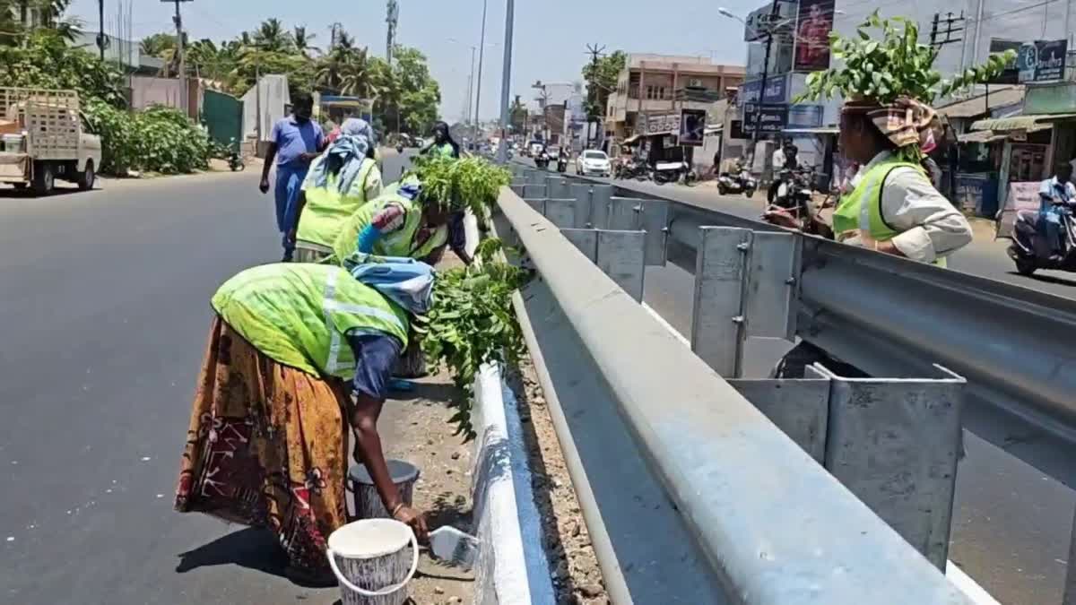 road-barriers-painting-work-womens-doing-work-with-neem-leaves-on-their-heads-for-summer