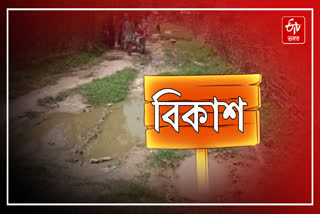 Public demand repairing of damage road in Dhemaji Jonai
