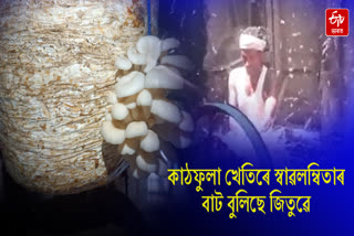 A man from Dhemaji has become Self-reliant in mushroom cultivation