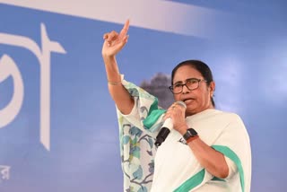 MAMATA BANERJEE