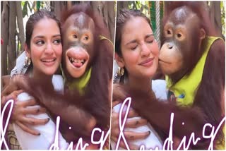 Nussrat Jahan With Orangutans