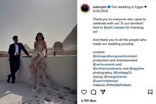 Indian-Origin Tech Billionaire Ankur Jain Weds Former WWE Star Erika Hammond at The Sphinx