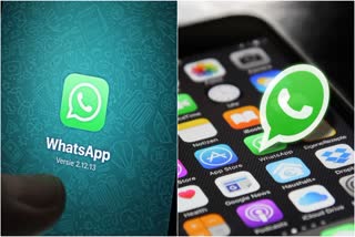 WhatsApp Feature Use Without Internet
