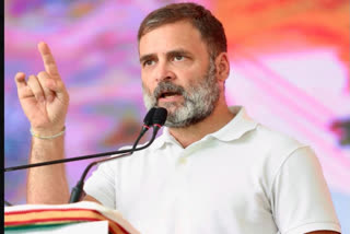 Congress leader Rahul Gandhi criticized CM Naveen Patnaik and Prime Minister Narendra Modi while addressing a rally in Odisha's Salepur.