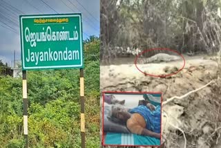 KOLLIDAM RIVER IN TAMIL NADU  CROCODILE BITES  CROCODILE ATTACK  മുതല കടിയേറ്റു