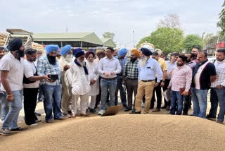 DC Ghanshyam Thori AMRITSAR VISIT DANA MANDI RAYYA