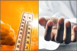 An elderly woman died from sunstroke in Kerala's Palakkad district due to severe heat conditions. The meteorological department issued a maximum temperature warning for 12 districts over five days. Preschool activities in Anganwadis were suspended for a week due to rising temperatures.