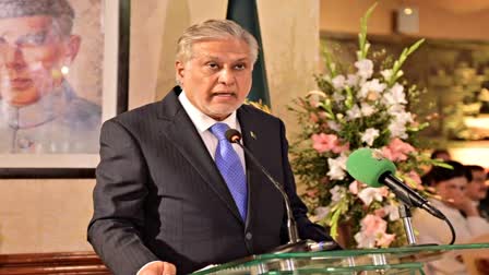 Pakistan Foreign Minister Ishaq Dar