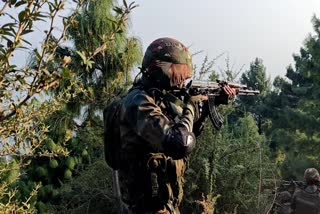 Pakistan Army Fire