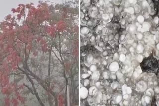 CHHATTISGARH WEATHER