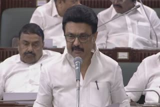 முதல்வர் மு.க.ஸ்டாலின்