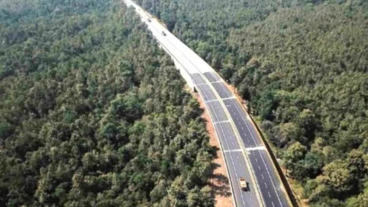 ELEVATED ROAD IN PANNA RESERVE