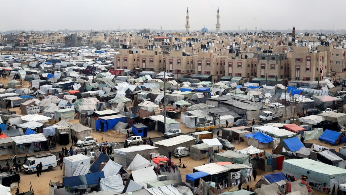 'We Have Nothing.' As Israel Attacks Rafah, Palestinians Are Living in Tents and Searching for Food