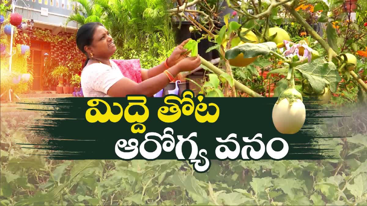 Terrace Garden Harvest