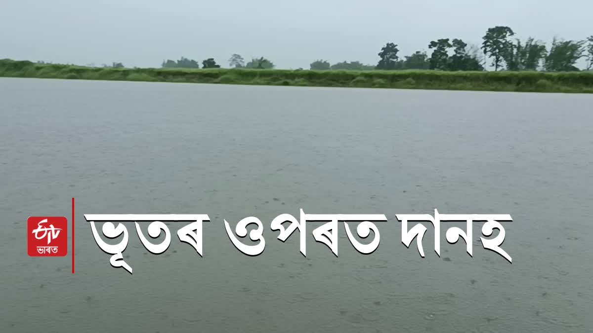 Ranganadi dam impact in Lakhimpur