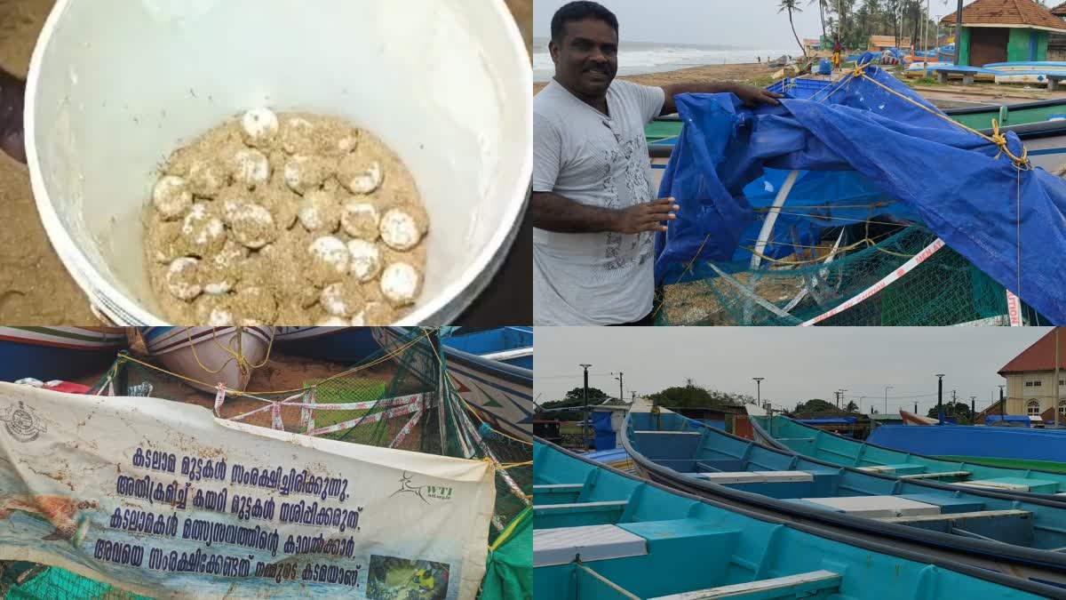 TURTLES EGG IN SHANGUMUGHAM BEACH  SHANGUMUGHAM BEACH  കടലാമ മുട്ട  ശംഖുമുഖത്ത് കടലാമ മുട്ടകൾ