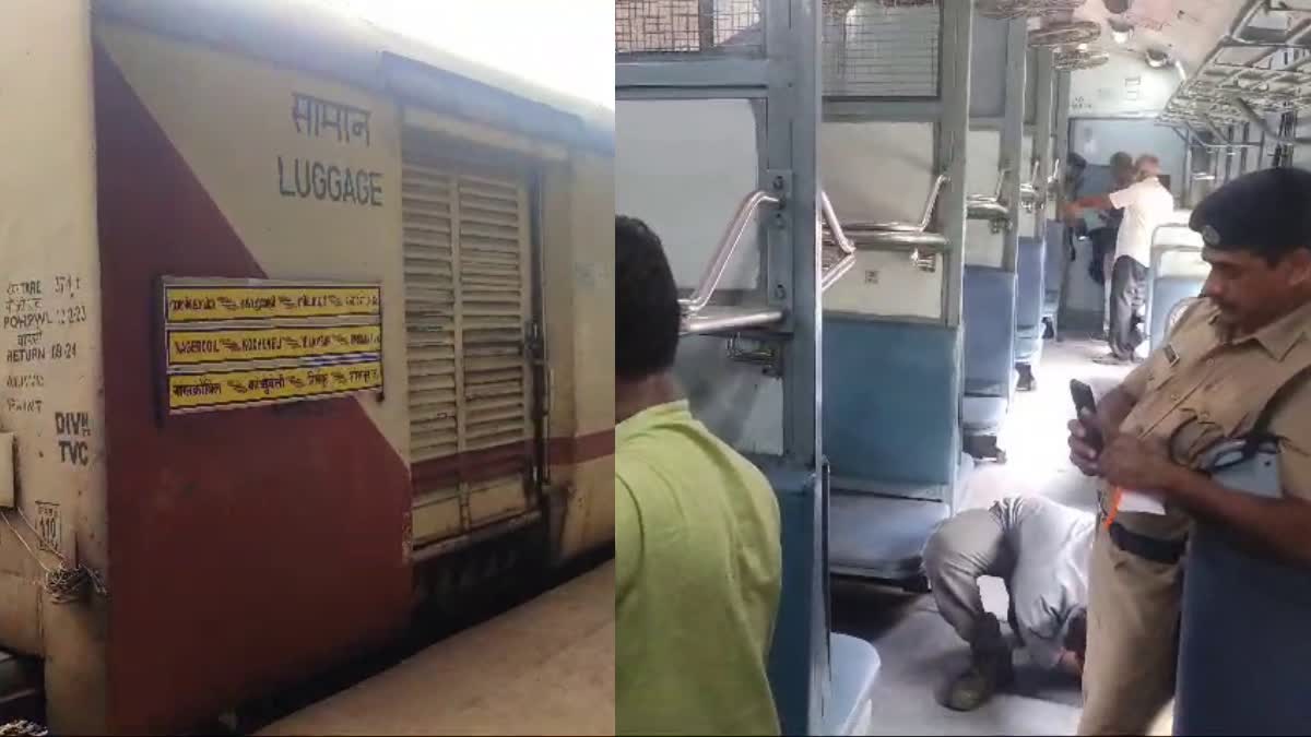 DOCTOR SNAKE BITE  NILAMBUR SHORNUR PASSENGER TRAIN  യാത്രക്കാരനെ പാമ്പ് കടിച്ചു  TRAIN SNAKE BITE