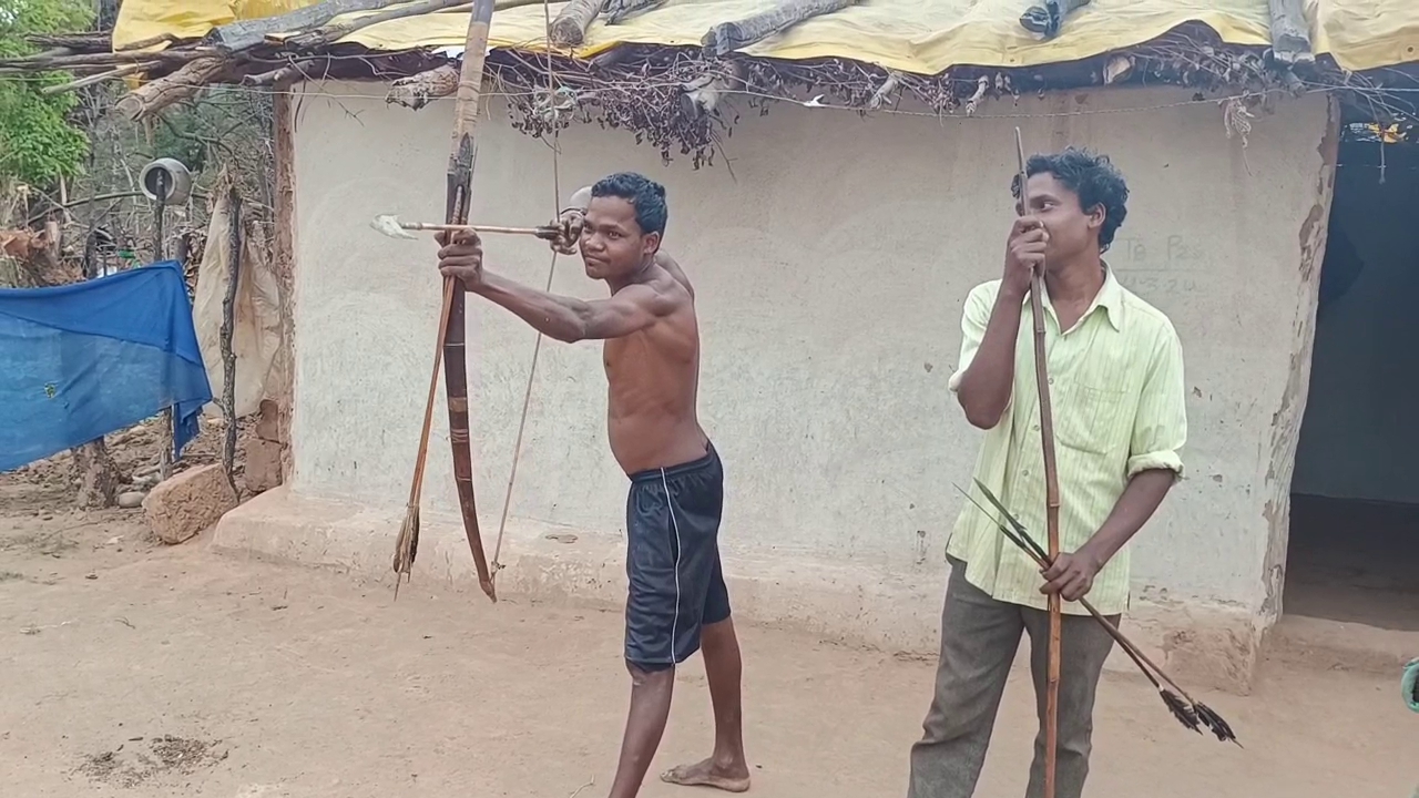 Pahadi Korwa Tribe Unique Tradition