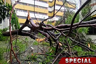 Kolkata Affected Due to Cyclone Remal