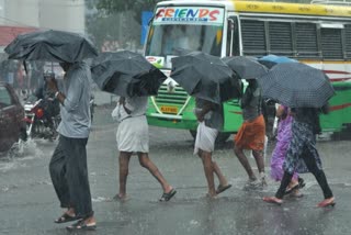 RAIN ALERT KERALA  YELLOW ALERT IN KERALA  KERALA WEATHER  കാലാവസ്ഥ മുന്നറിയിപ്പ്‌