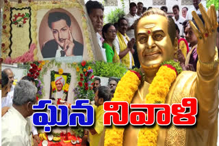 ntr birthday celebrations