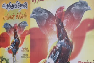 சேவல் ”சிங்கம்” கண்ணீர் அஞ்சலி பேனர்