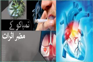 Secretary Health and Medical Education said The law against smoking should be strictly enforced