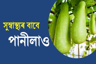 there are so many amazing benefits of bottle gourd(Paani Lao), let's find out