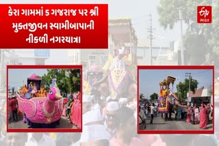 કેરામાં 5 ગજરાજ પર મુક્તજીવન સ્વામીબાપાની નીકળી નગરયાત્રા