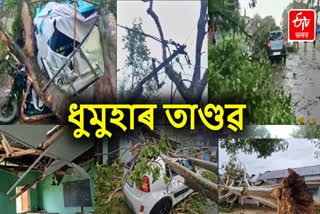 Cyclone Remal effect in Assam