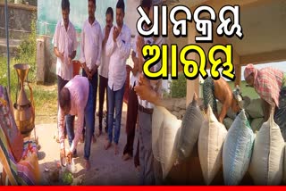 ବୌଦ୍ଧରେ ଆରମ୍ଭ ହେଲା ରବି ଧାନ ସଂଗ୍ରହ ପ୍ରକ୍ରିୟା