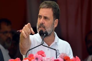 INDIA Bloc Will End 50 Pc Cap on Reservation, Protect Constitution With 'Dil, Jaan Aur Khoon': Rahul