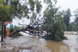 STORM IN HOJAI