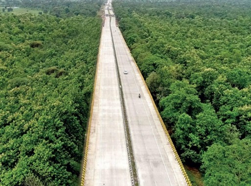 Elevated Road In Panna Reserve