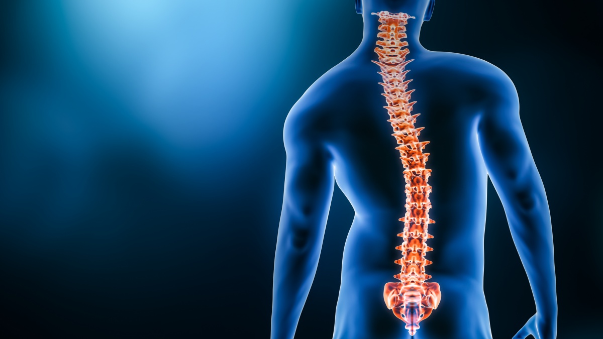 BACK PAIN COMMON CAUSES BACK PAIN TREATMENT BACK PAIN ಬೆನ್ನು ನೋವು