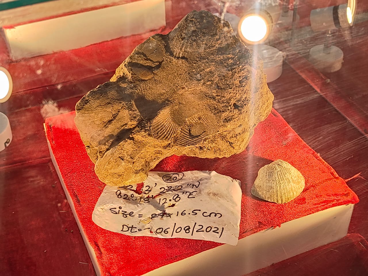 Fossil Park Geological Heritage