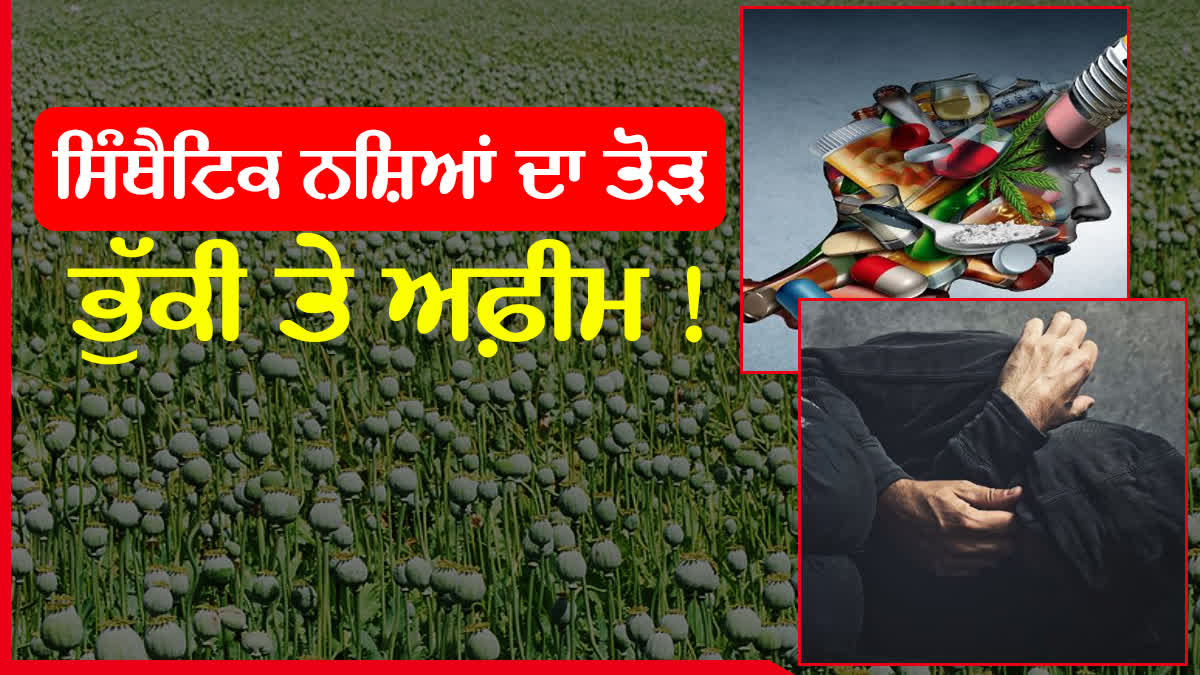 consumption of poppy, opium, stop the use of drugs