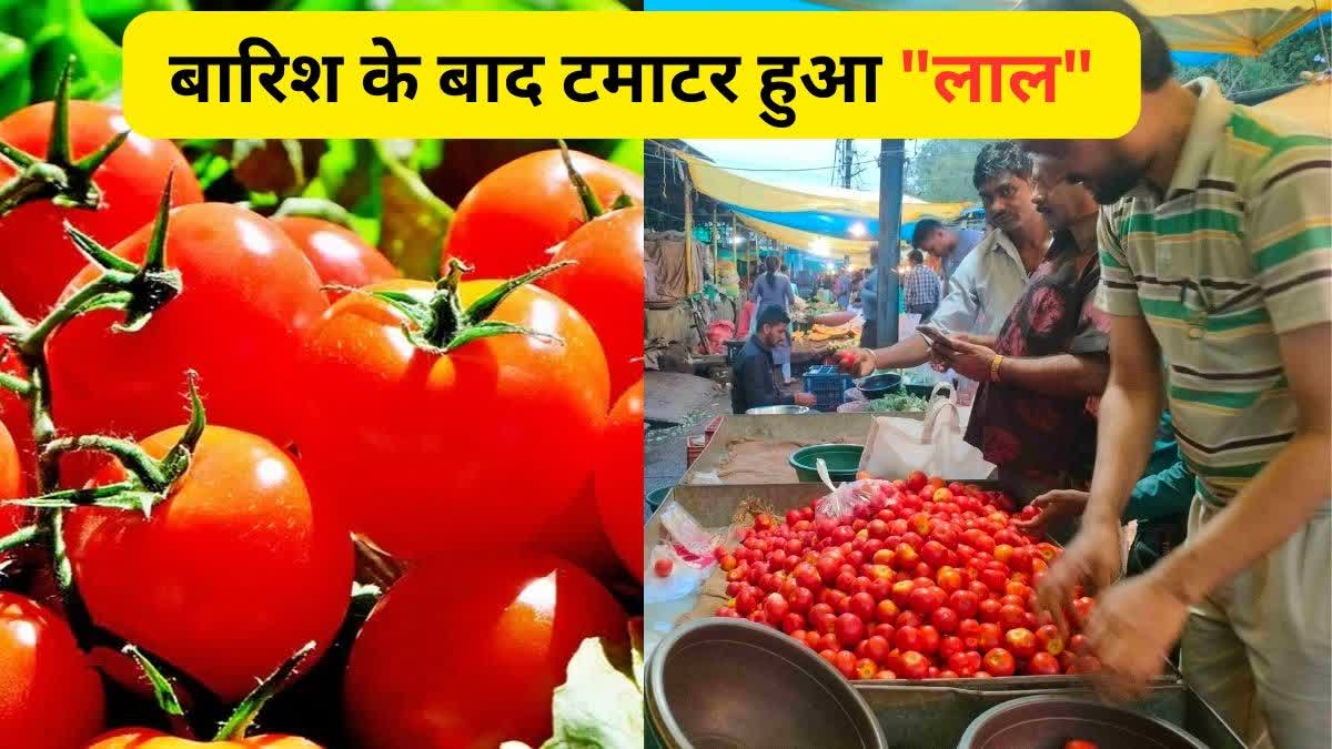 Tomato Prices Increased in raipur