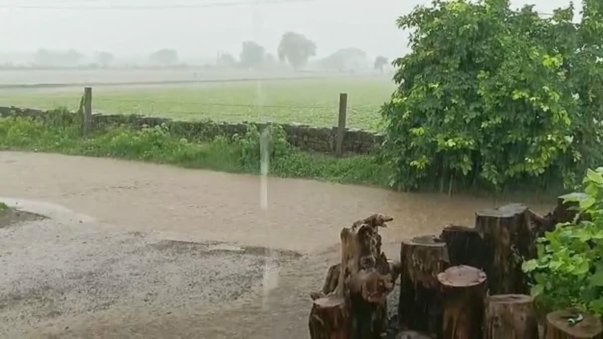 Rajkot Rain