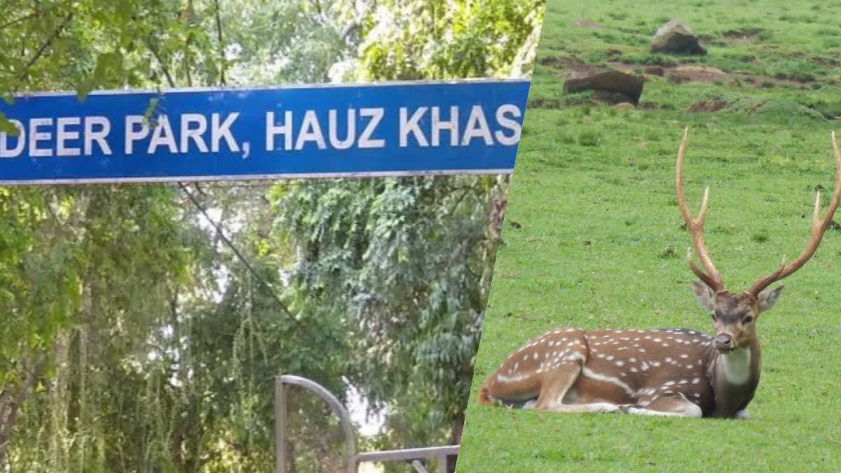 Delhi Deer Park to be shut down