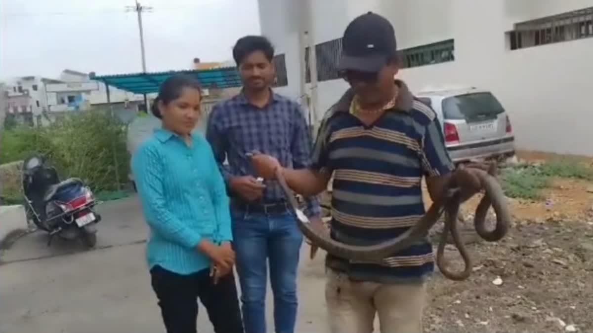 Gir Somnath Snake Rescue : મોટર કારના એન્જિનમાં છુપાયો અધધ મોટો સાપ, જુઓ વિડીયો