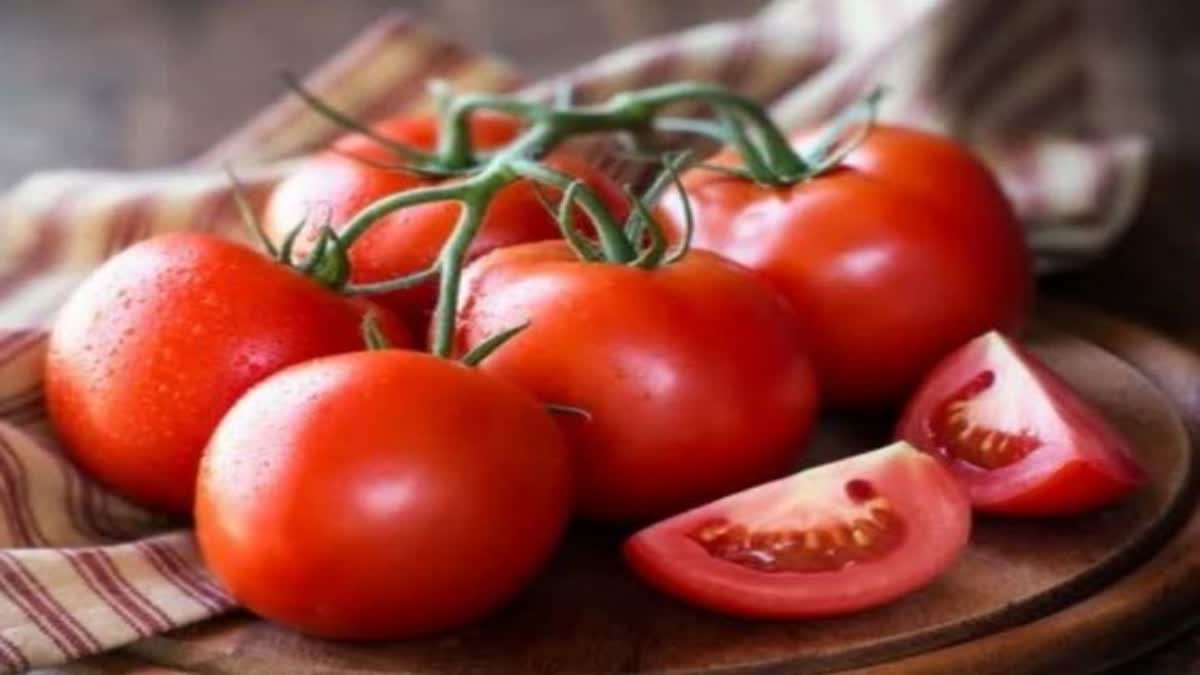 Increase in Tomato Price