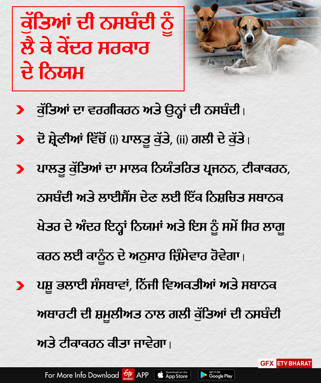 Sterilization Of Dogs, Bathinda