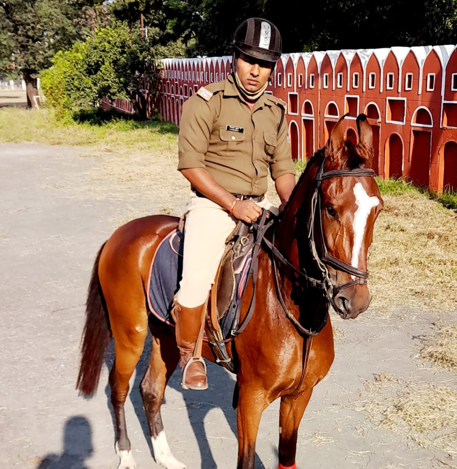 haridwar police horse soni dies